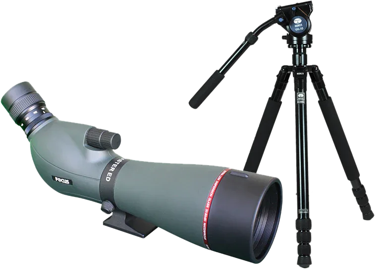Kit Focus Viewmaster ED 20-60x80, with Sirui R2004+VH10 - Nordic Aim AB