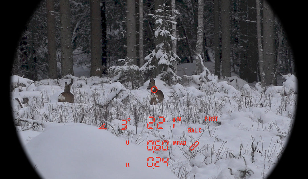 Element Optics Titan 3K i handen