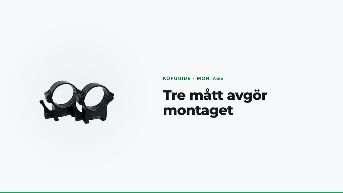 Ringar och fästen till kikarsiktet: så väljer du rätt montage