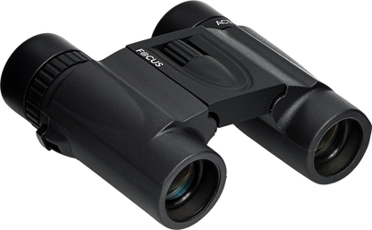Focus Activa 8x21